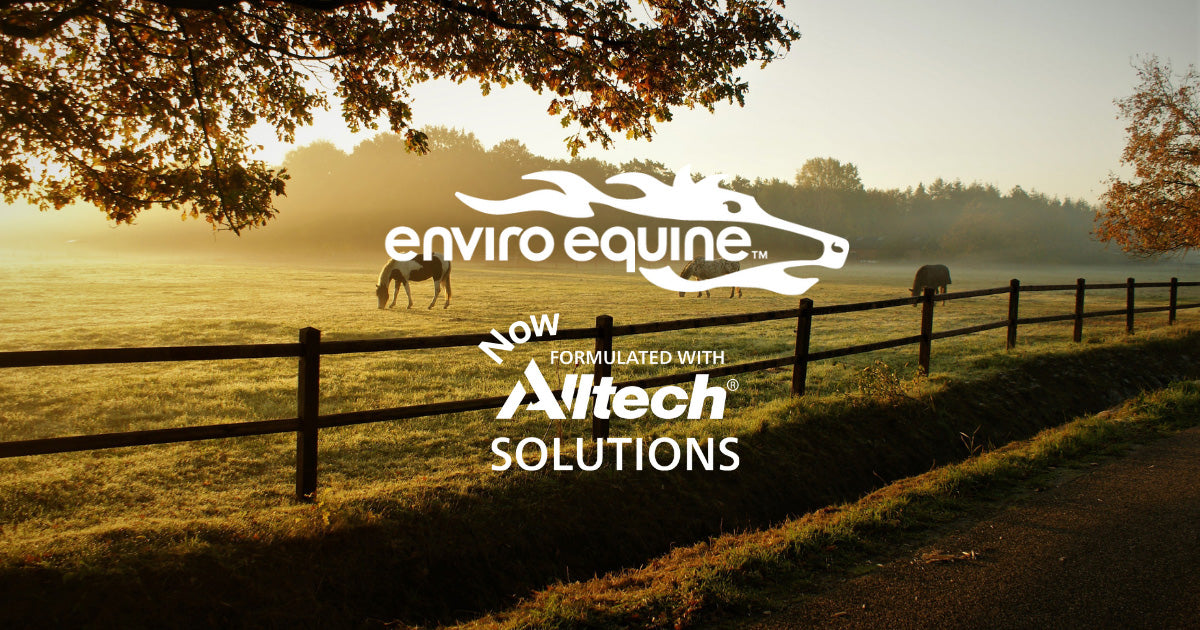 EnviroEquine & Alltech Reach Licensing Agreement