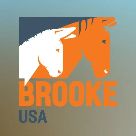 Logo of Brooke USA with horse silhouettes on a gradient background