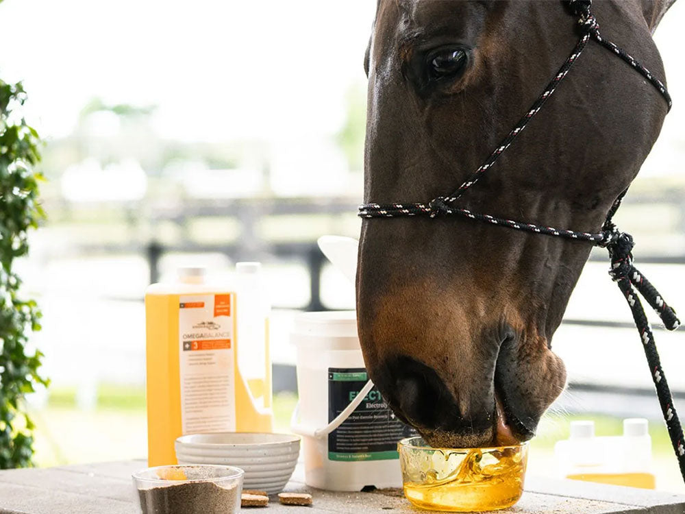EnviroEquine Supplements Omega Oil 