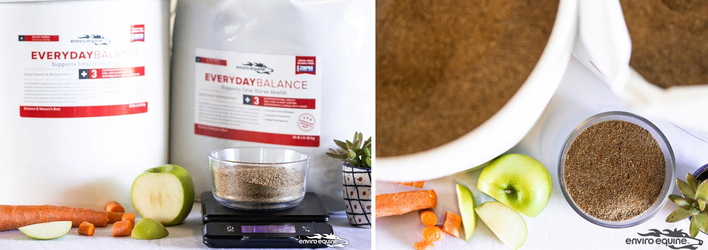 Two containers labeled 'Everyday Balance' with a close-up of everyday balance.