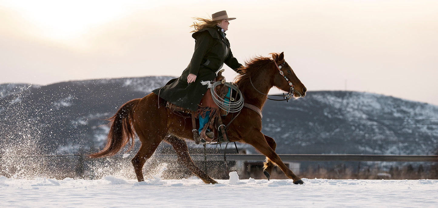 Person riding a horse in a snowy landscape with mountains in the background